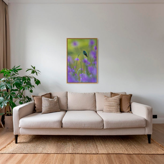 Colibri en peinture