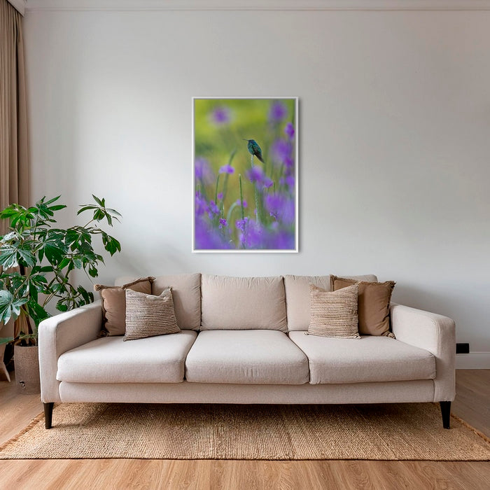 Colibri en peinture