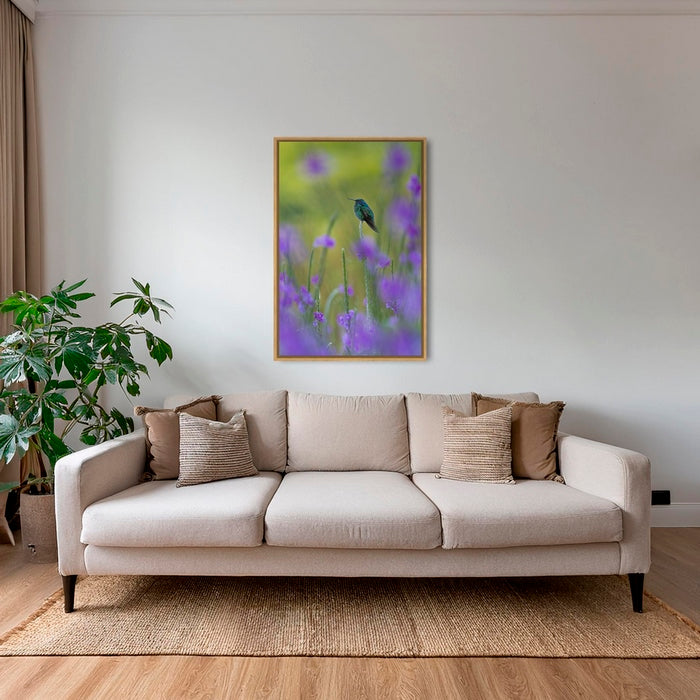 Colibri en peinture
