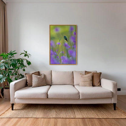 Colibri en peinture