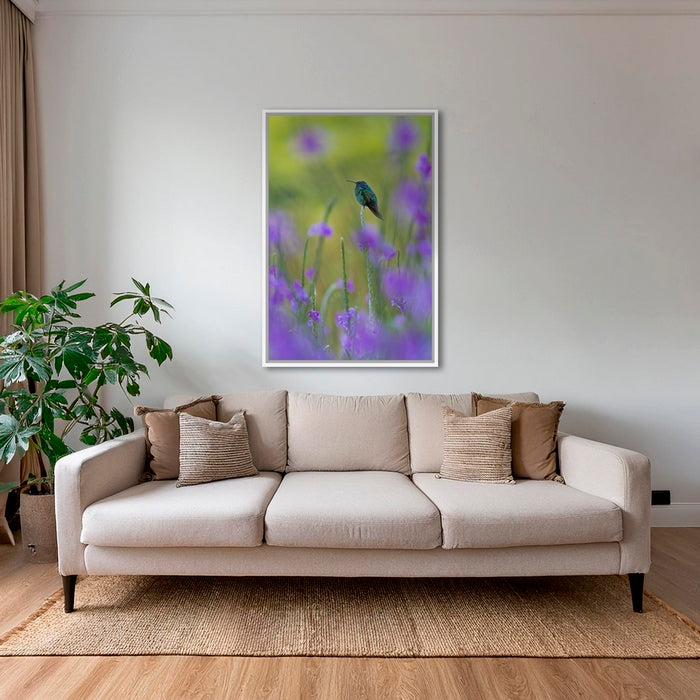 Colibri en peinture