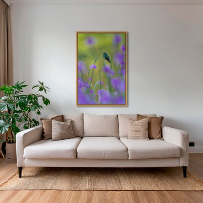 Colibri en peinture