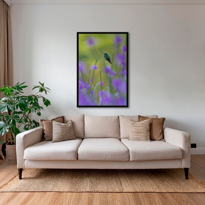 Colibri en peinture
