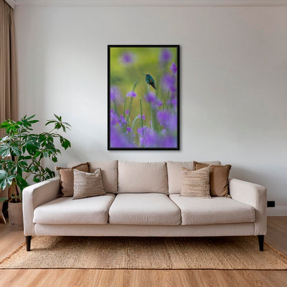 Colibri en peinture