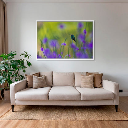 Colibri en peinture H