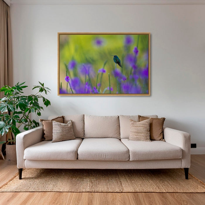 Colibri en peinture H