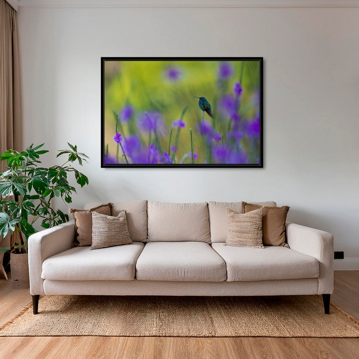 Colibri en peinture H