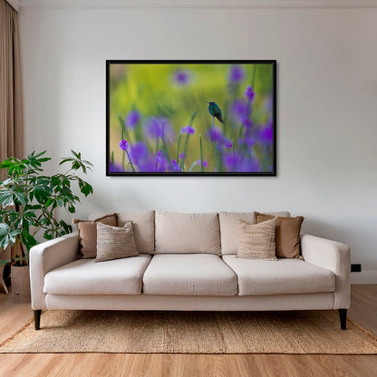Colibri en peinture H