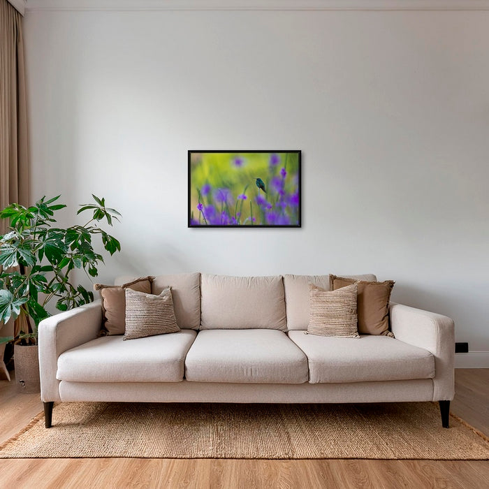 Colibri en peinture H