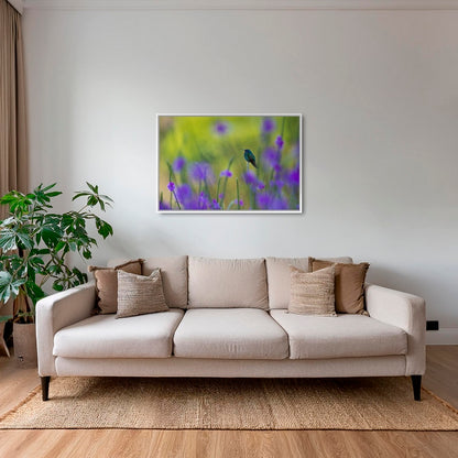Colibri en peinture H
