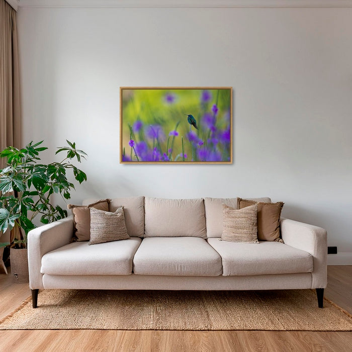 Colibri en peinture H