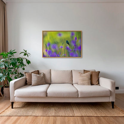 Colibri en peinture H