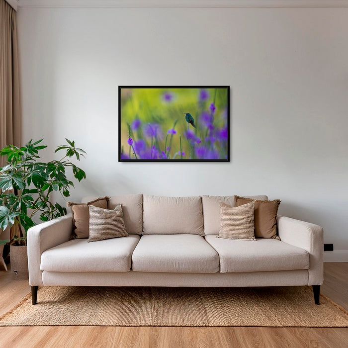 Colibri en peinture H