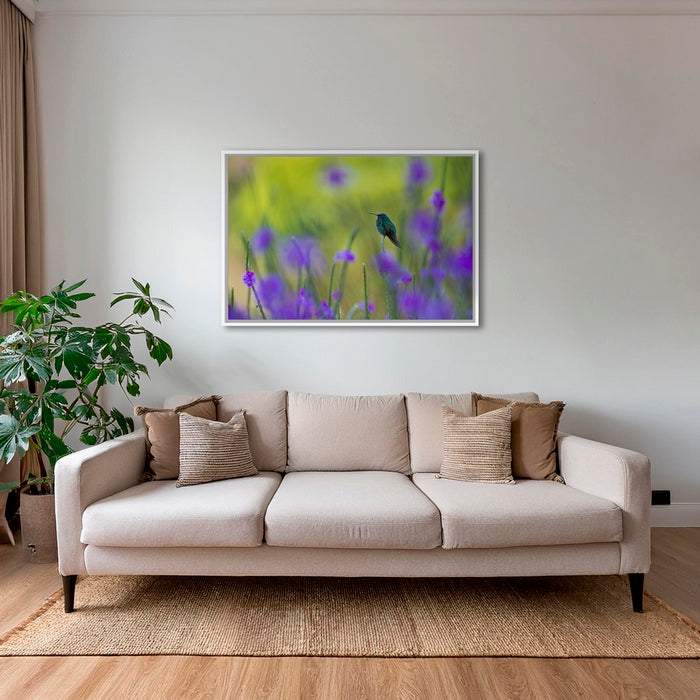 Colibri en peinture H
