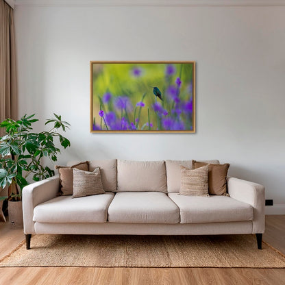 Colibri en peinture H