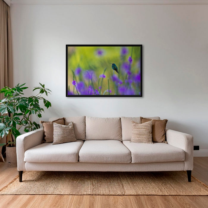 Colibri en peinture H