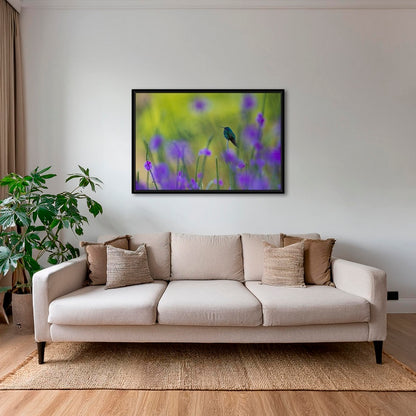 Colibri en peinture H