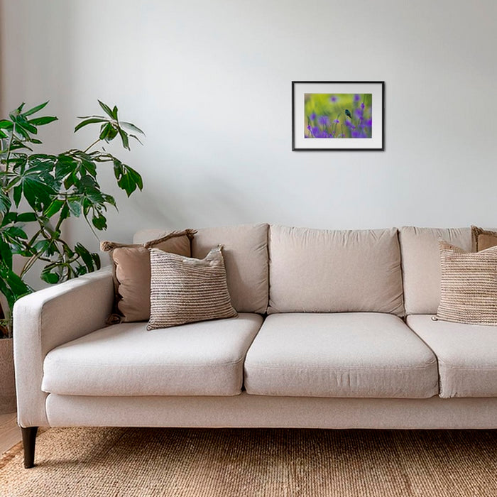 Colibri en peinture H