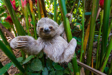 Charger l&#39;image dans la galerie, Par ici mon ami
