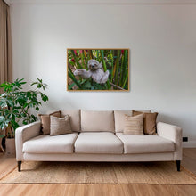 Charger l&#39;image dans la galerie, Par ici mon ami
