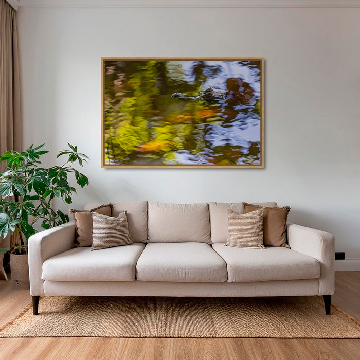 Caïman en peinture