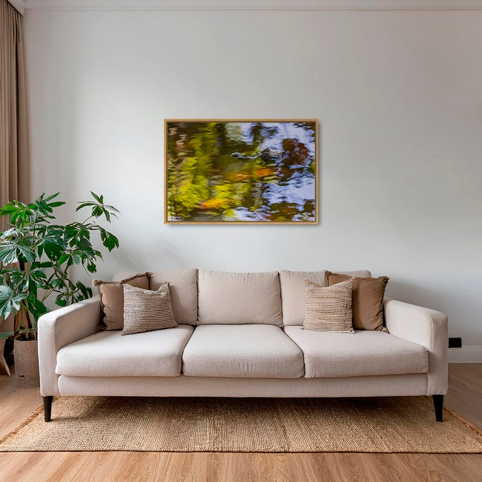 Caïman en peinture