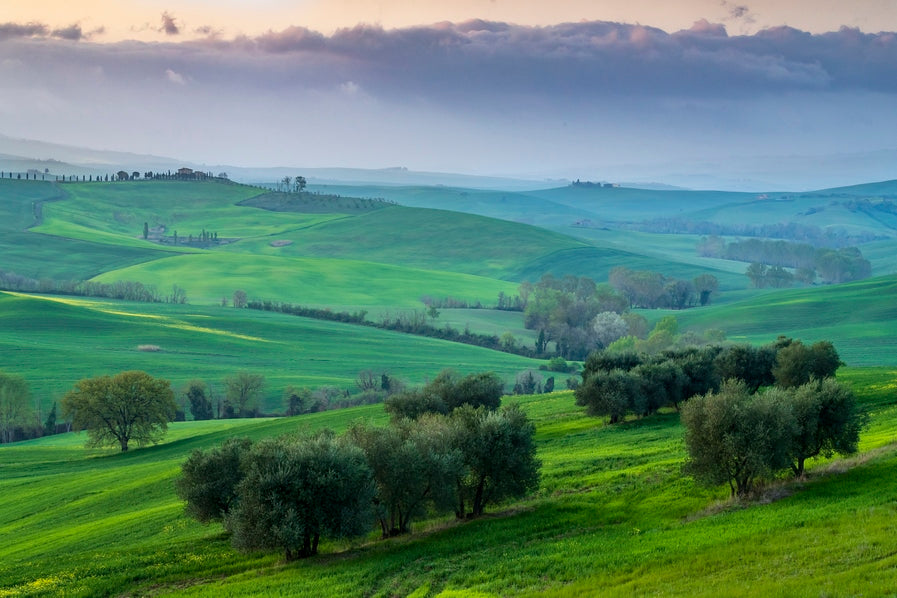 Matin de Toscane