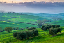 Charger l&#39;image dans la galerie, Matin de Toscane
