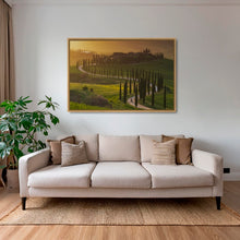 Charger l&#39;image dans la galerie, Lumière sur les cyprès 2
