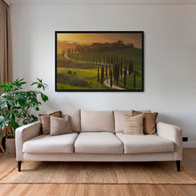 Charger l&#39;image dans la galerie, Lumière sur les cyprès 2
