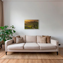 Charger l&#39;image dans la galerie, Lumière sur les cyprès 2
