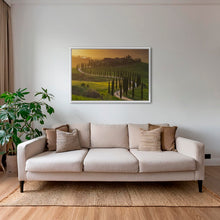 Charger l&#39;image dans la galerie, Lumière sur les cyprès 2
