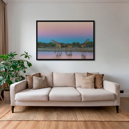 Girafes rosées