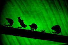 Charger l&#39;image dans la galerie, Travail d&#39;équipe
