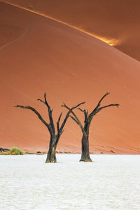 Duo du Deadvlei