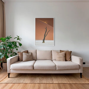 L'arbre et la poussière