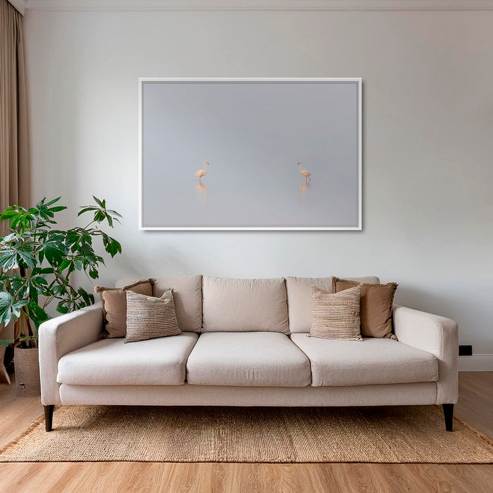 1, 2, 3... Flamants !