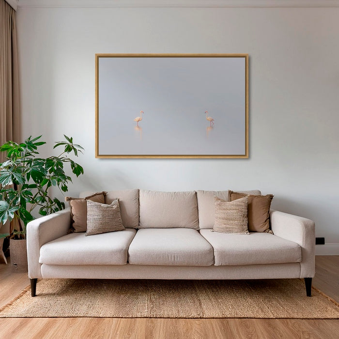 1, 2, 3... Flamants !