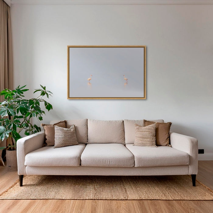 1, 2, 3... Flamants !