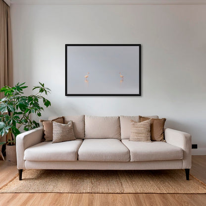 1, 2, 3... Flamants !