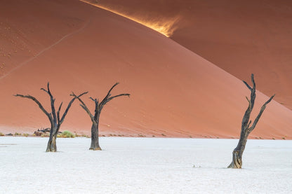 Splendeur du Deadvlei