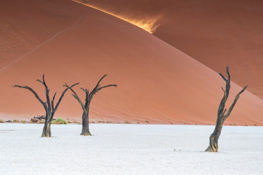 Splendeur du Deadvlei