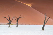 Charger l&#39;image dans la galerie, Splendeur du Deadvlei
