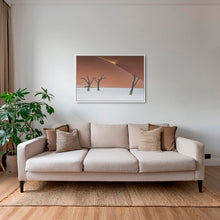 Charger l&#39;image dans la galerie, Splendeur du Deadvlei
