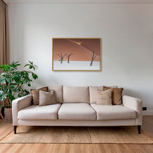 Charger l&#39;image dans la galerie, Splendeur du Deadvlei
