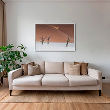 Charger l&#39;image dans la galerie, Splendeur du Deadvlei
