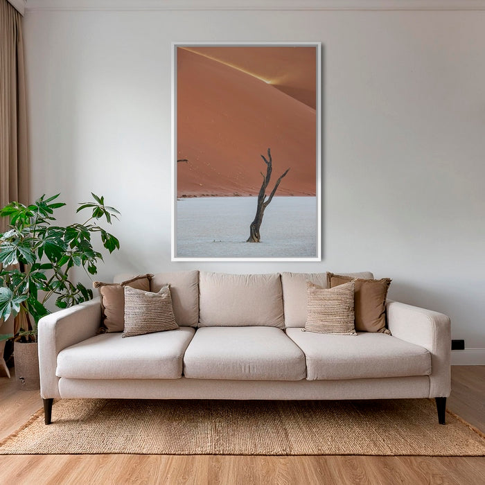 Acacia et rayon de soleil