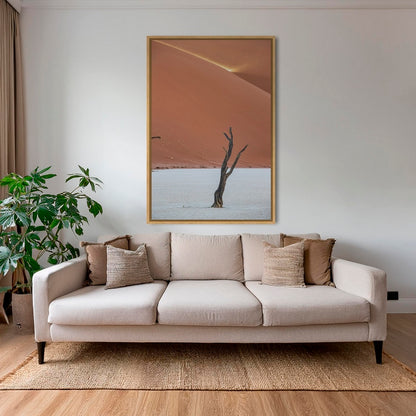 Acacia et rayon de soleil