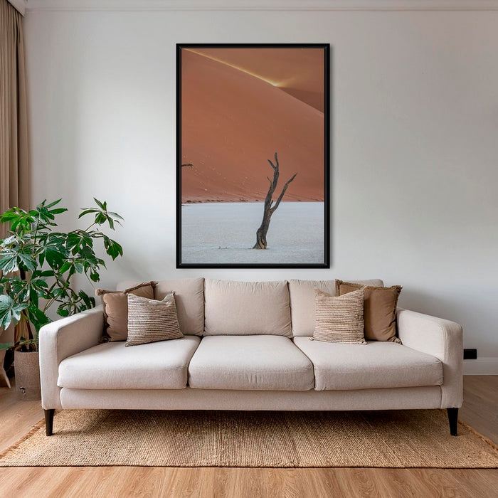 Acacia et rayon de soleil