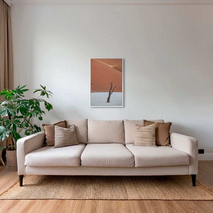 Acacia et rayon de soleil